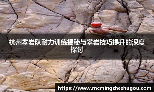 zoty中欧体育