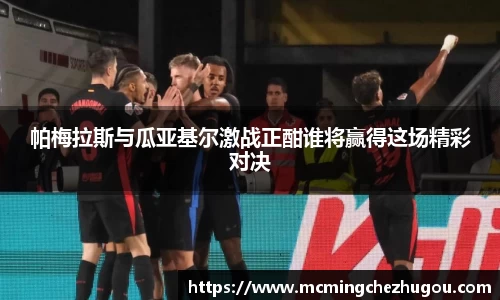 zoty中欧体育官网