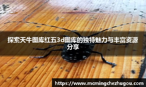 zoty中欧体育网站